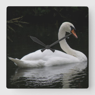 Graceful White Swan Clock Vierkante Klok