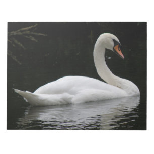 Graceful White Swan-laptop Notitieblok