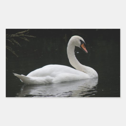 Graceful White Swan Stickers (Voorkant)