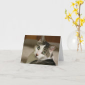 Gracey, de Kleinste Kaart van de Nota van de (Gele Bloem)