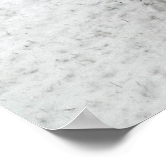 Gracie 1 poster (Hoek)