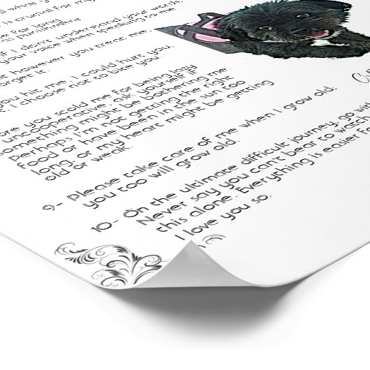 Gracie - Poster (Coin)