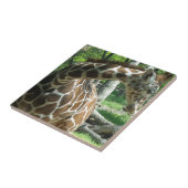 Gracieuze Giraffe Tegeltje (Zijkant)
