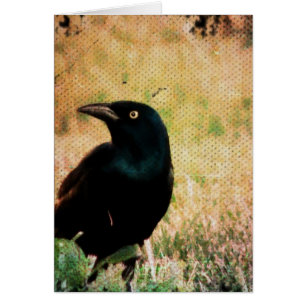 Gracker Bird Toutes les occasions Carte de voeux