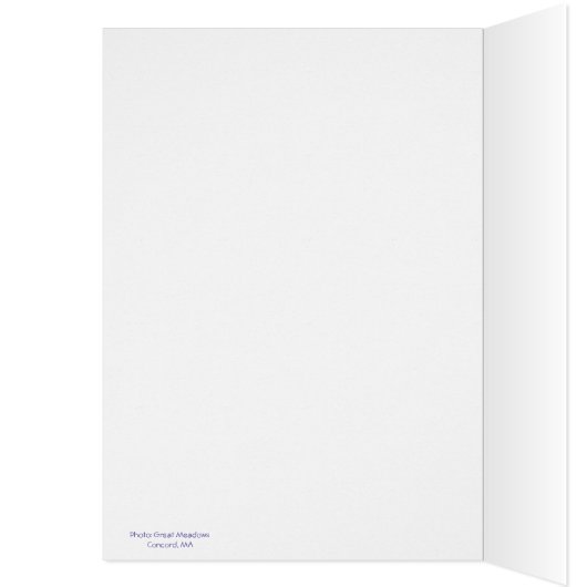 Grackle (Binnen (Links))