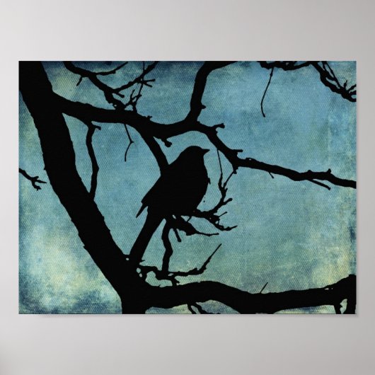 Grackle 2 poster (Voorkant)