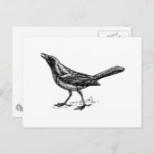 Grackle Bird  Sketch Briefkaart (Voorkant / Achterkant)