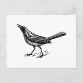 Grackle Bird  Sketch Briefkaart (Voorkant)