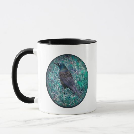 Grackle in regen mok (Links)