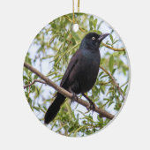 Grackle Keramisch Ornament (Links)