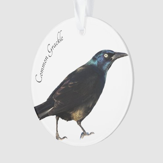 Grackle Ornament (voorkant)