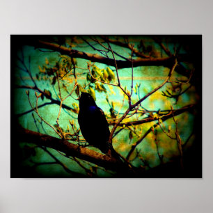 Grackle Poster