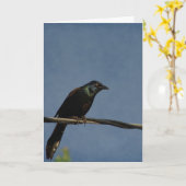 Grackle Power, Happy Birthday Kaart (Gele Bloem)