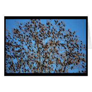 Grackles-kaart