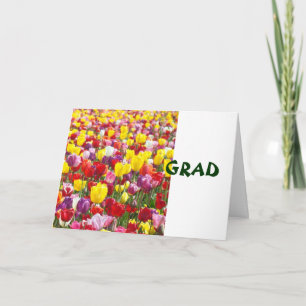 GRAD gelukwenskaarten Gefeliciteerd Tulp Bloemen Kaart