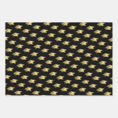 Gradation Modern Gold Foil Pet Class Year Black Inpakpapier Vel (Voorkant 3)