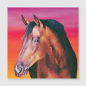 Gradiënt Bay Horse (Voorkant)