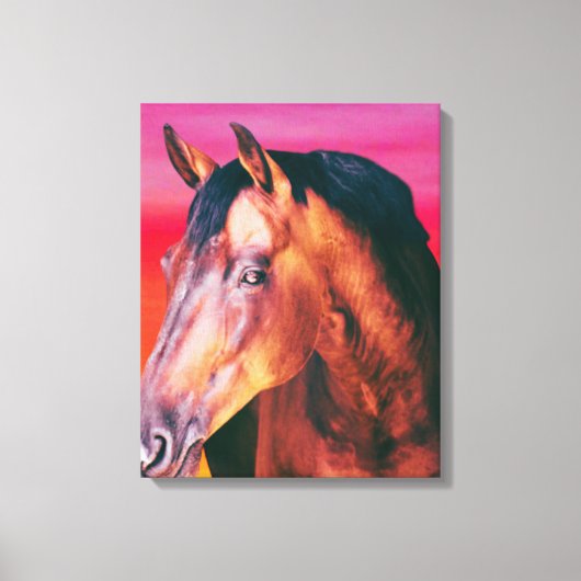 Gradiënt Bay Horse Canvas Afdruk (Voorkant)