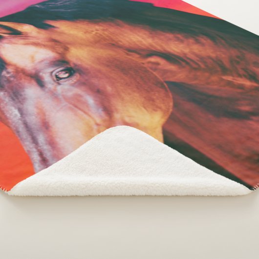 Gradiënt Bay Horse Sherpa Deken (3/4)