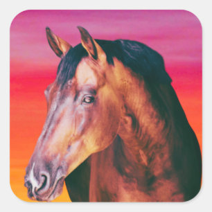 Gradiënt Bay Horse Vierkante Sticker