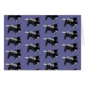 Graduate Skunk (Devant horizontal)