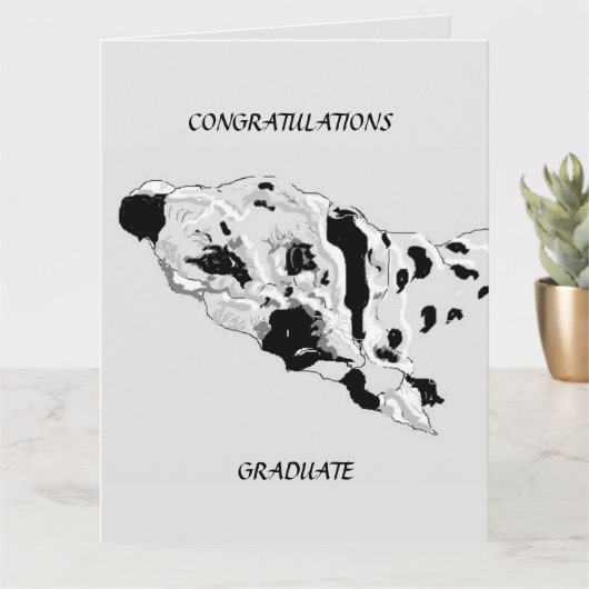 Graduation Carte de voeux : Dalmatiens (Petite plante)