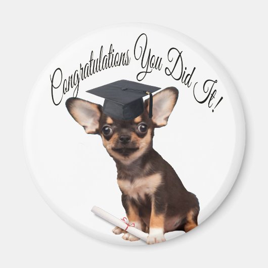 Graduation Chihuahua chien aimant (Devant)