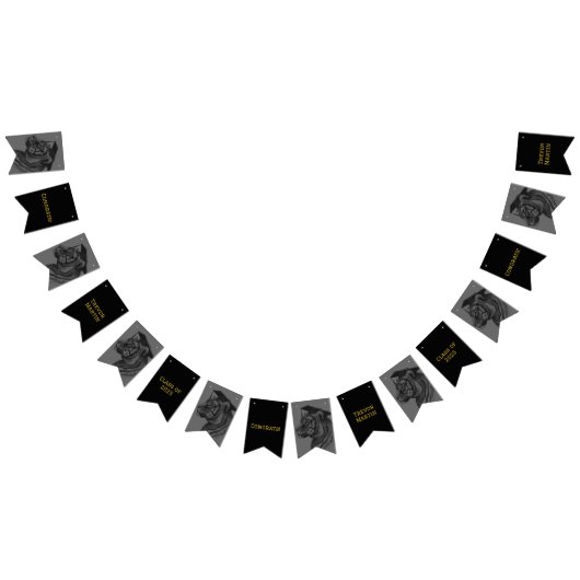 Graduation Party Bunting Flags Vlaggetjes (Alle)