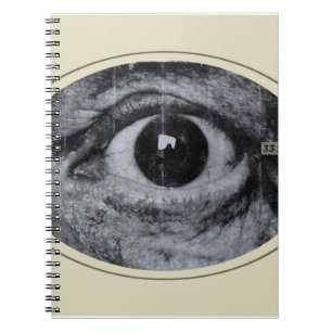 Graffiti Eye Notitieboek