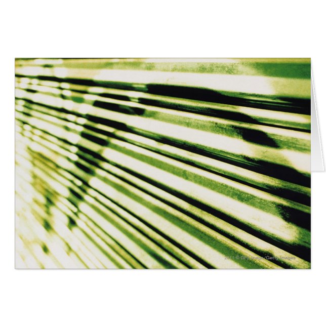 Graffiti sur un volet (Devant horizontal)