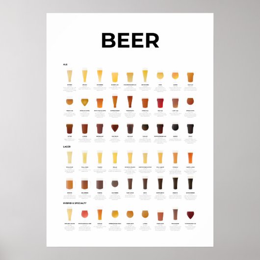Grafiek Biertypen Poster (Voorkant)