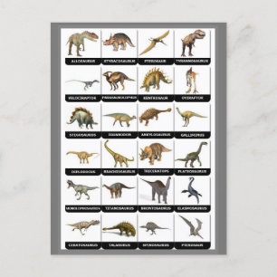 Grafiek Dinosaurs Briefkaart
