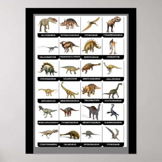 Grafiek Dinosaurs Poster (Voorkant)