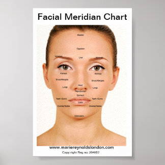 Grafiek Facial Meridian Poster