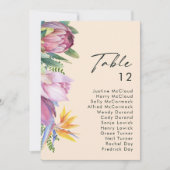 Grafiek met kleurrijke tropische platte peach (Voorkant)