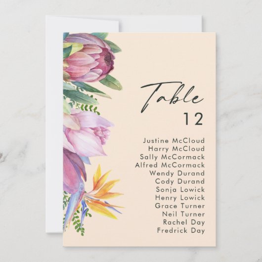 Grafiek met kleurrijke tropische platte peach (Voorkant)