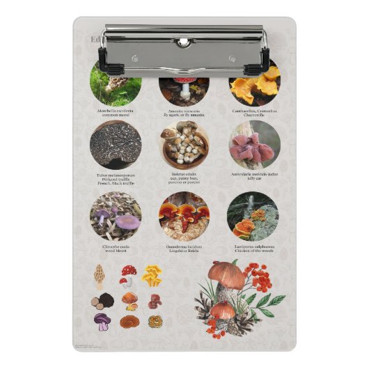 Grafiek met paddenstoelen eetbaar mini klembord (Voorkant)