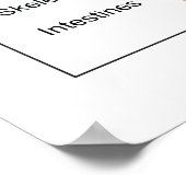 Grafiek van de interne organen van de mens poster (Hoek)