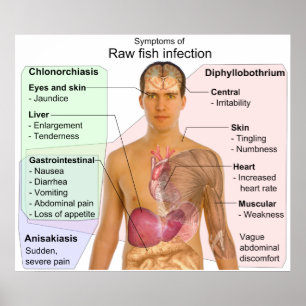Grafiek van de symptomen van een ruwe visinfectie poster