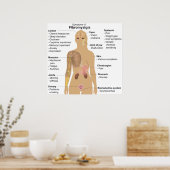 Grafiek van de symptomen van fibromyalgie poster (Keuken)