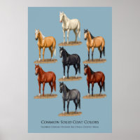 Grafiek voor Paarden Vaste kleefkleuren
