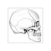 'Grafiet' geïllustreerde schedel Rubberstempel (Afrduk)