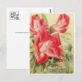 grafisch Briefkaart (Voorkant / Achterkant)
