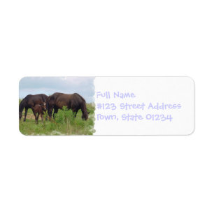 Grafisch label voor paardenfamilie