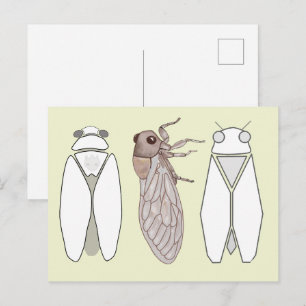 Grafische cicada en cicadomandril. briefkaart