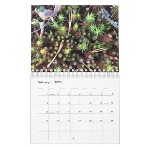Grafische fotokalender kalender