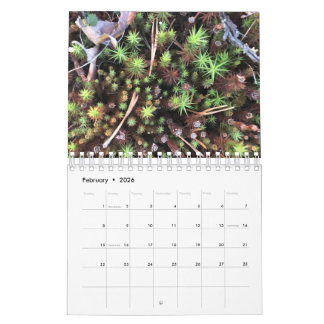 Grafische fotokalender kalender