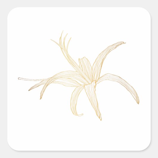Grafische gouden lijn afbeelding van een gerberabl vierkante sticker (Voorkant)