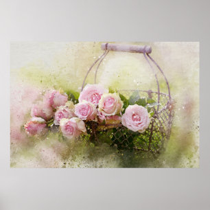 grafische Waterverf Shabby roze rozen in bas Poster