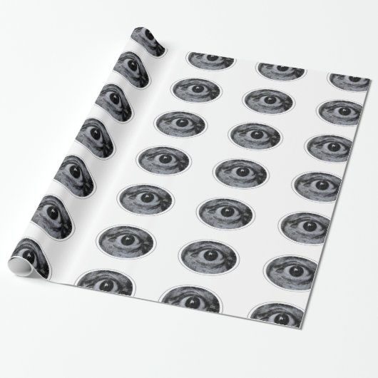 Grafitti Eye Cadeaupapier (Uitgerold)